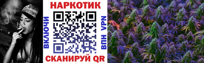 Как найти закладки Городец Alpha-PVP  ГАШ  Псилоцибиновые грибы  КОКАИН  Каннабис 