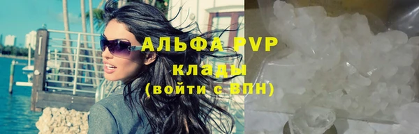 круглые Гусев