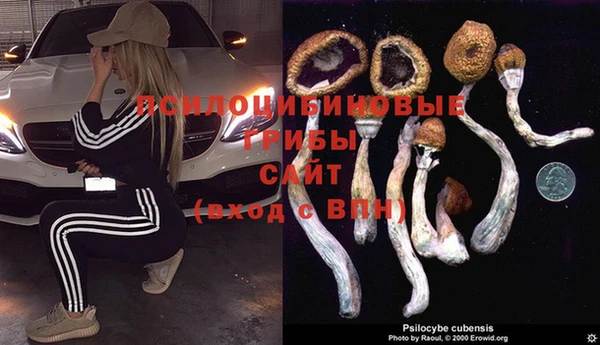 ALPHA PVP Гусиноозёрск
