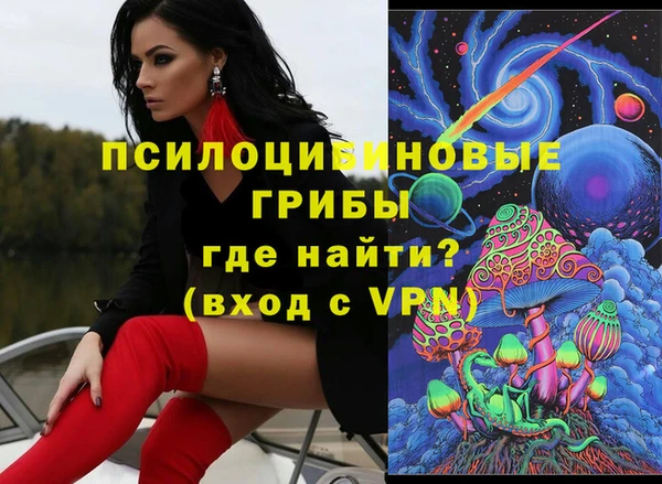 спиды Дмитриев