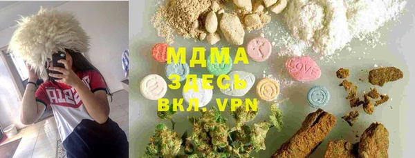 круглые Гусев