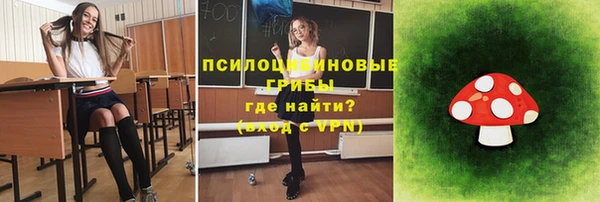 ALPHA PVP Гусиноозёрск