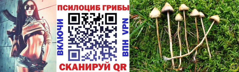 ссылка на мегу рабочий сайт  Городец  Псилоцибиновые грибы Psilocybine cubensis 