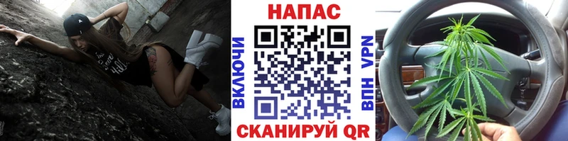 Бошки марихуана марихуана Городец
