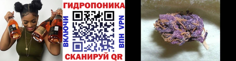 где купить наркоту  Городец  Бошки марихуана планчик 